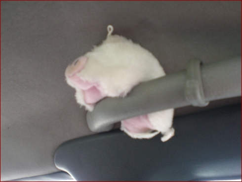 Cult-Style Saisonauftakt - Albumbild 94 von 196