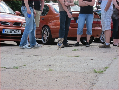 9 Jahre Nissanfreunde-Dresden - Albumbild 21 von 55