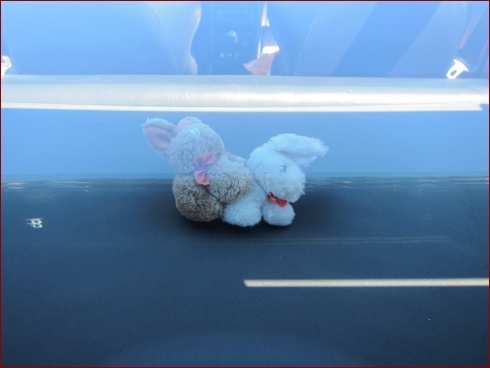 8. Japan All Stars - Open Sky - Albumbild 21 von 84