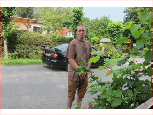 1. NissanHarzTreffen - Albumbild 171 von 341