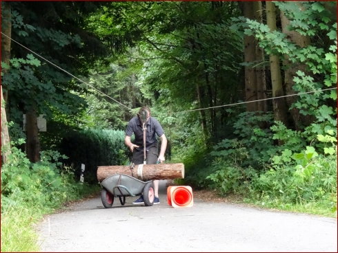 3. NissanHarzTreffen - Albumbild 340 von 441