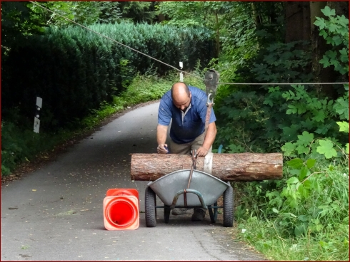 3. NissanHarzTreffen - Albumbild 332 von 441