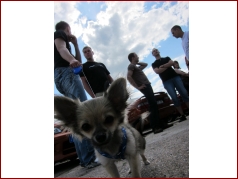 Vorschaubild des Albums - 9 Jahre Nissanfreunde-Dresden